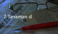 7 Tanaman dengan Manfaat Kesehatan, Cocok Ditanam di Rumah