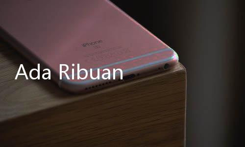 Ada Ribuan Pasien Hemofilia Indonesia yang Diduga Belum Terdeteksi