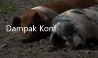 Dampak Konflik Geopolitik Timur Tengah ke Perekonomian Indonesia Dibeberkan Ekonom