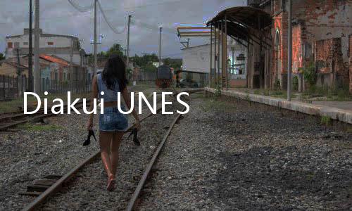 Diakui UNESCO, Kebaya Berpeluang Makin Mendunia