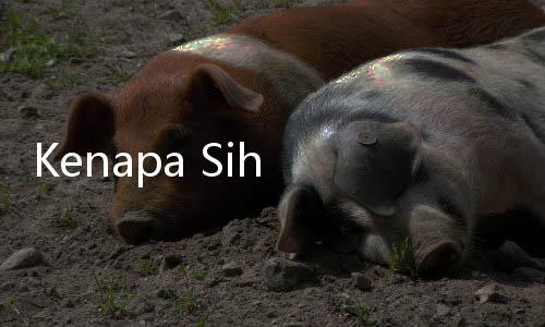 Kenapa Sih BPJS Susah Banget Cair? Ternyata, Bisa Jadi Ini 5 Penyebabnya