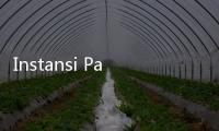 Instansi Paling Banyak dan Sedikit yang Diminati Pelamar CPNS 2024