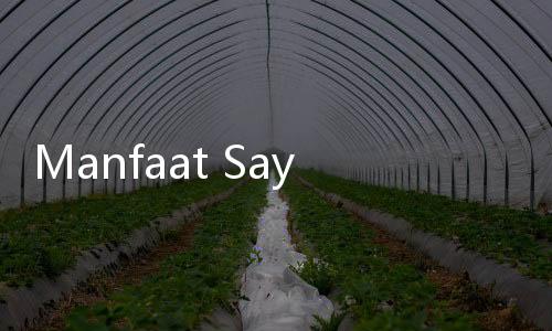 Manfaat Sayur Pare: Superfood Penuh Nutrisi yang Wajib Disantap