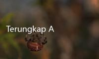 Terungkap Alasan Firli Bahuri Cabut Gugatan Praperadilan Sebenarnya