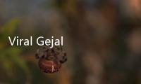 Viral Gejala Ensefalitis Dikira Gangguan Mental, Ini Kata Dokter