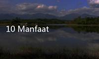 10 Manfaat Ajaib Minum Teh Serai Setiap Hari